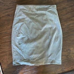 Express Pencil Skirt